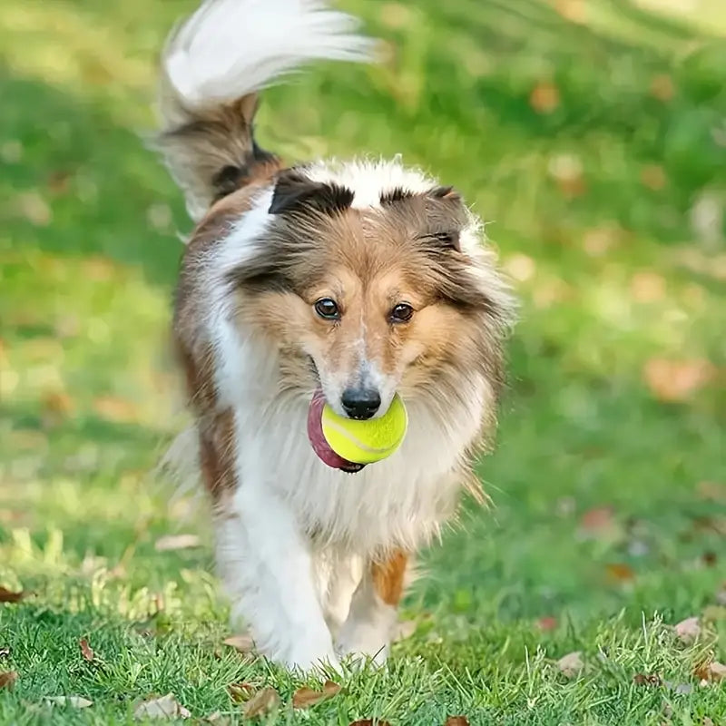 Jirah Automatic Dog Ball Launcher™ Replacement Balls