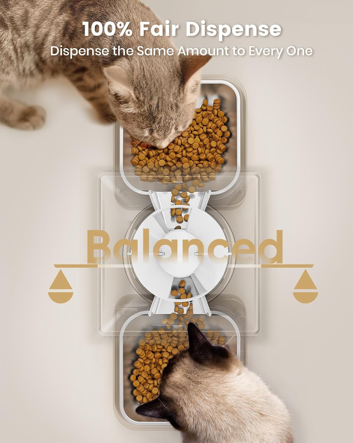 Automatic Cat Food Dispenser For Multiple Cats, With APP