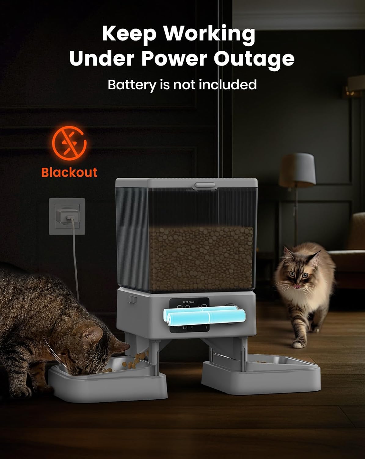 Automatic Cat Food Dispenser For Multiple Cats, With APP