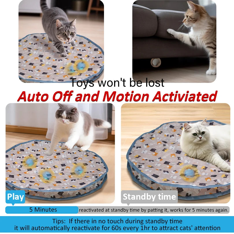 Run Run Interactive Cat Toy™