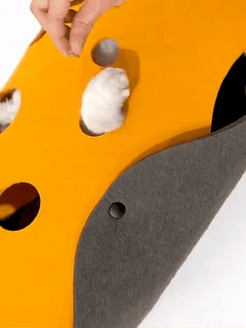 Not Your Ordinary Cat Tunnel™ Currently Backordered – Jirah Shop Pets